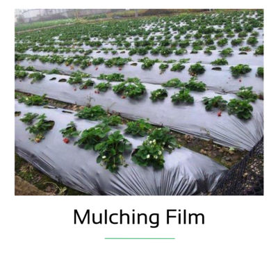 Mulching Film